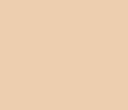 compact foundation 01 q