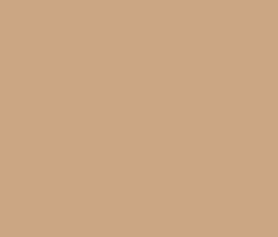 compact foundation 03 q